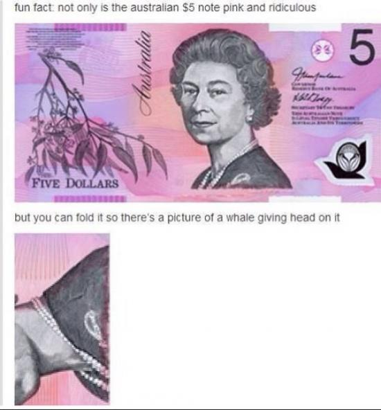 memes - australian 5 dollar note - fun fact not only is the australian $5 note pink and ridiculous Australia Five Dollars but you can fold it so there's a picture of a whale giving head on it