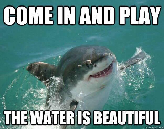 memes - shark meme - Come In And Play The Water Is Beautiful quickmeme.com