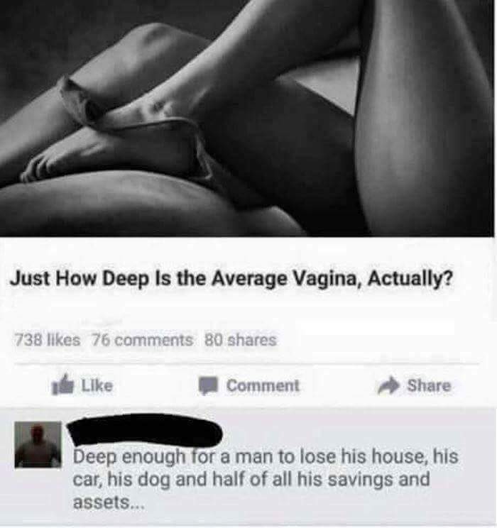 memes - deep is vag - Just How Deep Is the Average Vagina, Actually? 738 76 80 Comment Deep enough for a man to lose his house, his car, his dog and half of all his savings and assets...