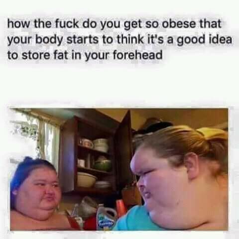 memes - fat in forehead meme - how the fuck do you get so obese that your body starts to think it's a good idea to store fat in your forehead