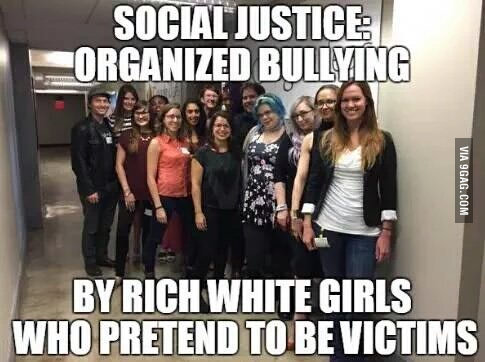 Memes Poking Social Justice Warriors Right in the Eye