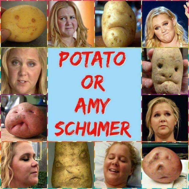 amy schumer meme - Potato Or Amy Schumer