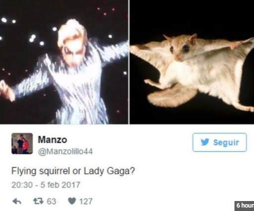 memes lady gaga super bowl 2017 - Manzo y Seguir Flying squirrel or Lady Gaga? 47 63 127 6 hour