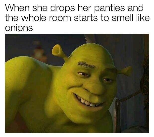 memes - shrek meme - When she drops her panties and the whole room starts to smell onions