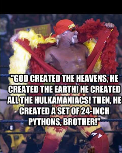 memes - hulk hogan costume - "God Created The Heavens, He Created The Earth! He Created All The Hulkamaniacs! Then, He Created A Set Of 24Inch Pythons, Brother!"