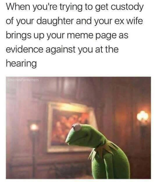 memes - cant have kids - When you're trying to get custody of your daughter and your ex wife brings up your meme page as evidence against you at the hearing Mesec Memers