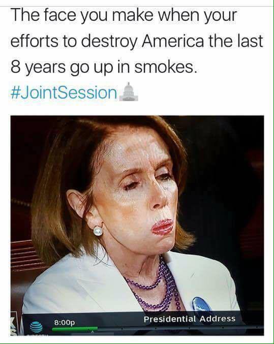 memes - nancy pelosi trump state of the union - The face you make when your efforts to destroy America the last 8 years go up in smokes. p Presidential Address