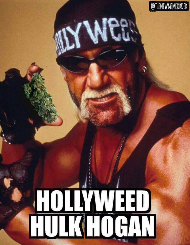 memes - muscle - Llywce Hollyweed Hulk Hogan