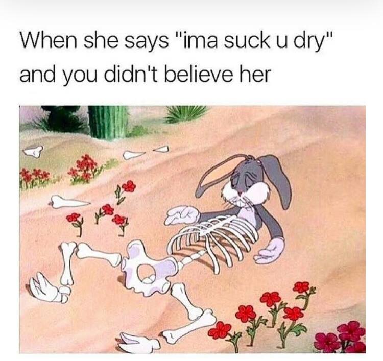 destroy december memes - When she says "ima suck u dry" and you didn't believe her