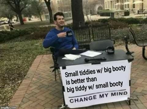 small tiddies with big booty - Small tiddies w big booty is better than big tiddy w small booty Change My Mind