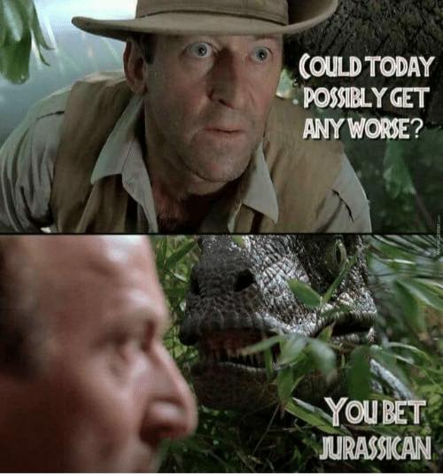 meme inappropriate clever girl meme turned into savage bad day meme