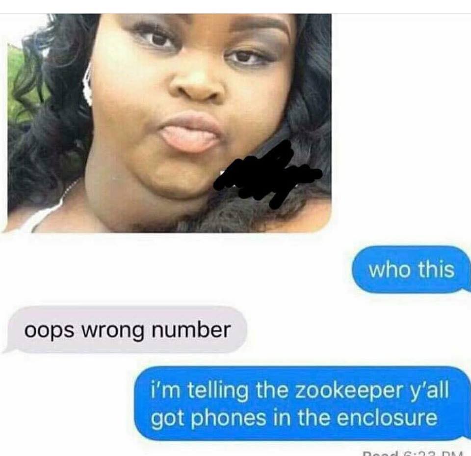 meme savage inappropriate meme of fat girl sending something to the wrong number and then response implies she looks like a zoo animal