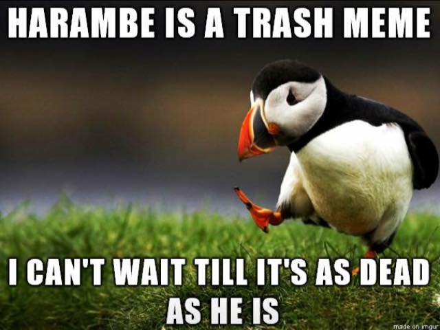 memes - communication is key meme - Harambe Is A Trash Meme I Can'T Wait Till It'S As Dead As He Is made on imgur