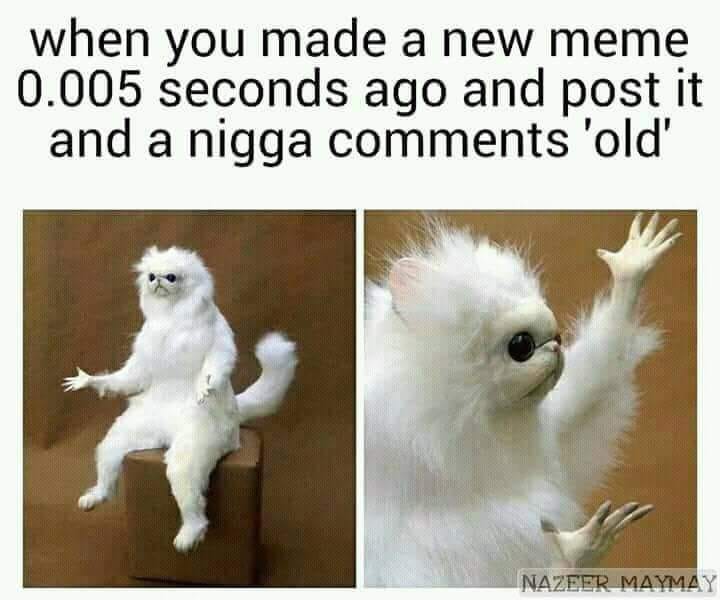 something funny - when you made a new meme 0.005 seconds ago and post it and a nigga 'old' Nazeer Maymay