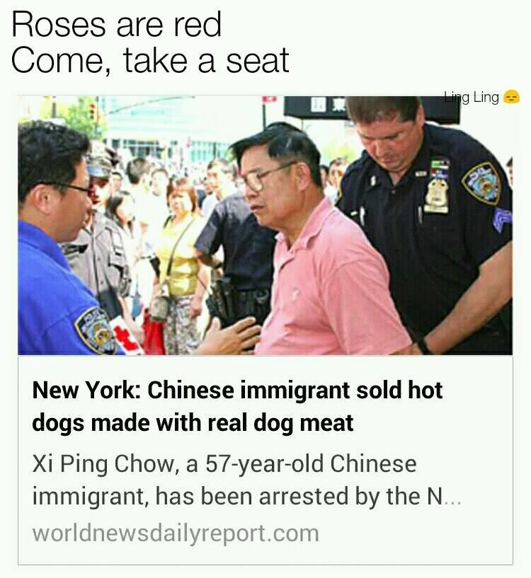 conversation - Roses are red Come, take a seat Ling Ling New York Chinese immigrant sold hot dogs made with real dog meat Xi Ping Chow, a 57yearold Chinese immigrant, has been arrested by the N... worldnewsdailyreport.com