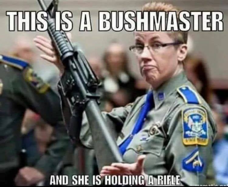 memes - remington bankruptcy - This Is A Bushmaster And She Is Holding A Rifle