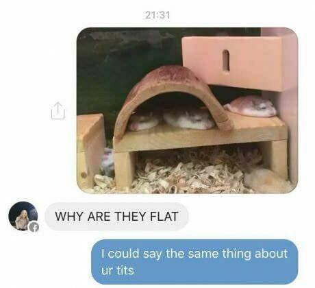 memes - they flat - Why Are They Flat I could say the same thing about ur tits