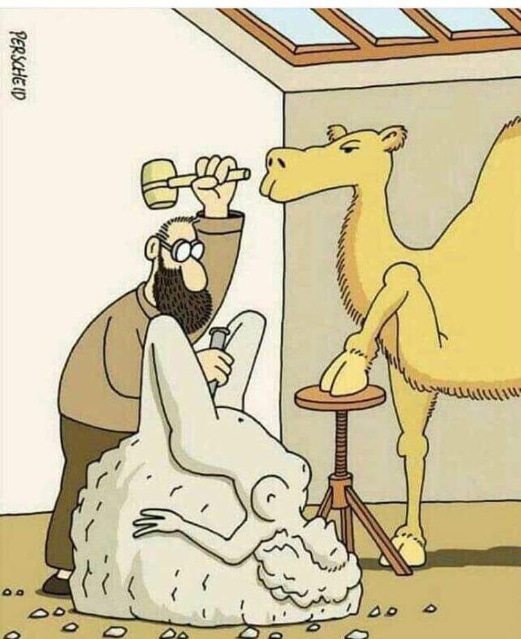 memes - camel toe funny