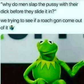 memes - she swallows meme - "why do men slap the pussy with their dick before they slide it in?" we trying to see if a roach gon come out of it