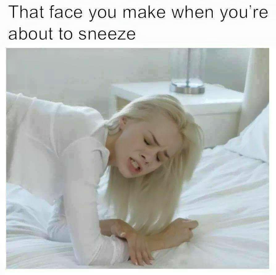 memes - face you make when your - That face you make when you're about to sneeze