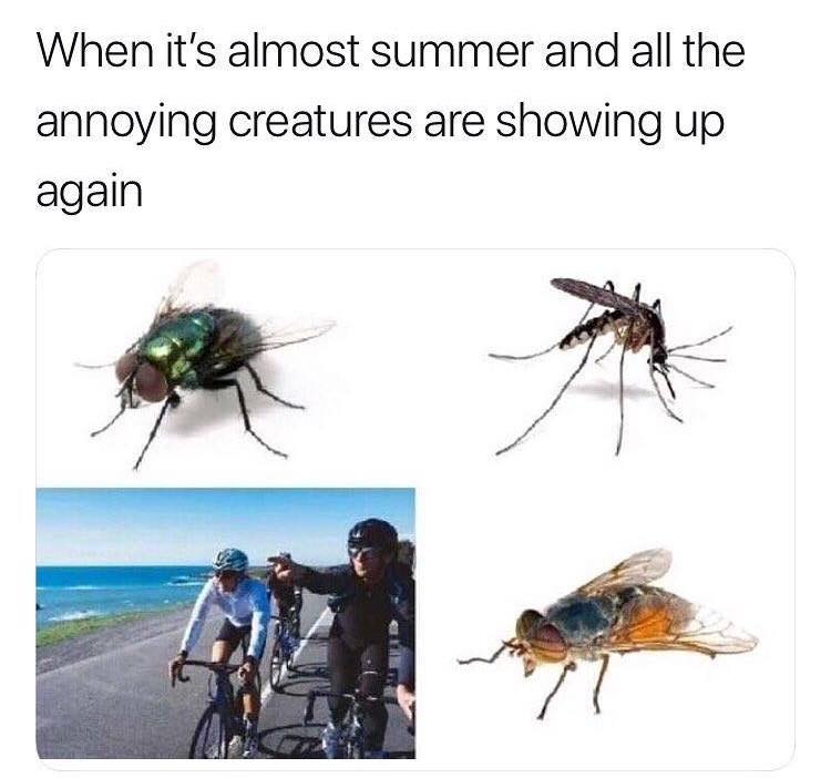 Savage Friday MEME about annoying summer creatures including bikers