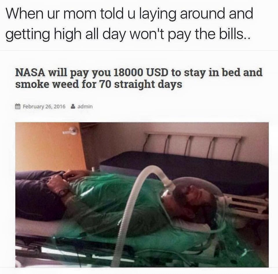Savage Friday MEME about being paid to smoke weed