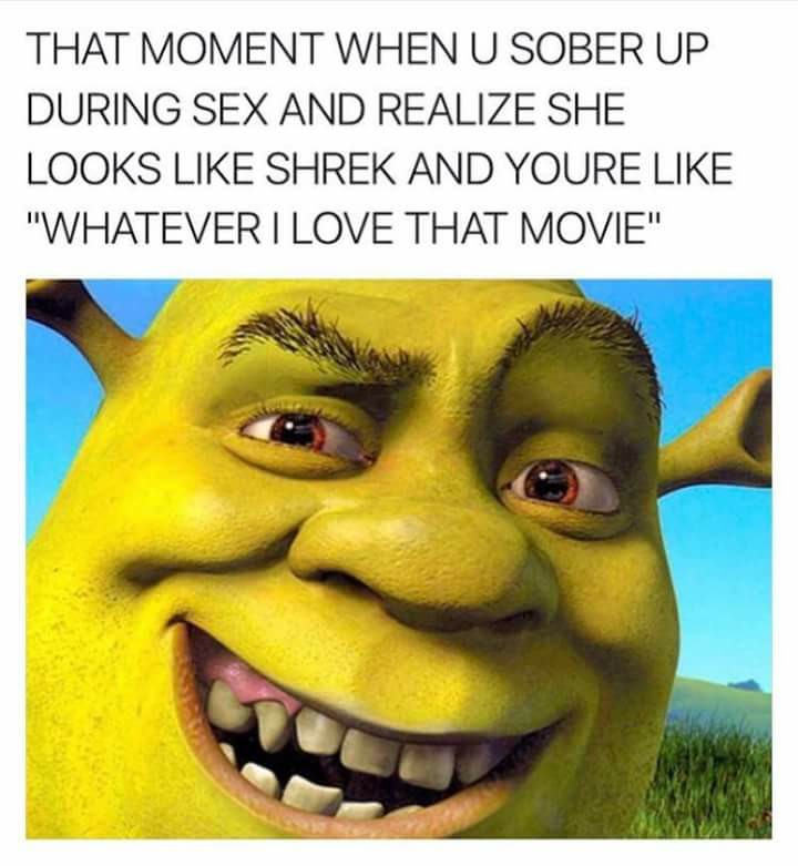 Savage Friday MEME about realizing you're hooking up with Shrek