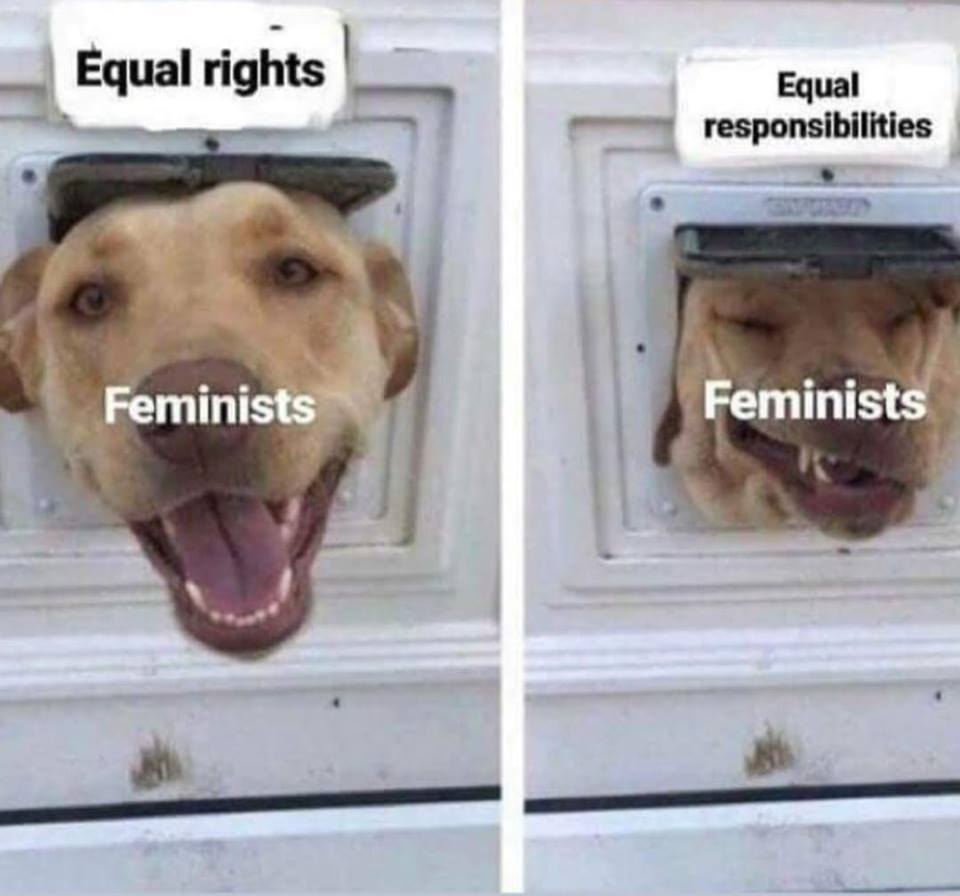 savage meme of a equal rights equal responsibilities meme - Equal rights Equal responsibilities Feminists Feminists
