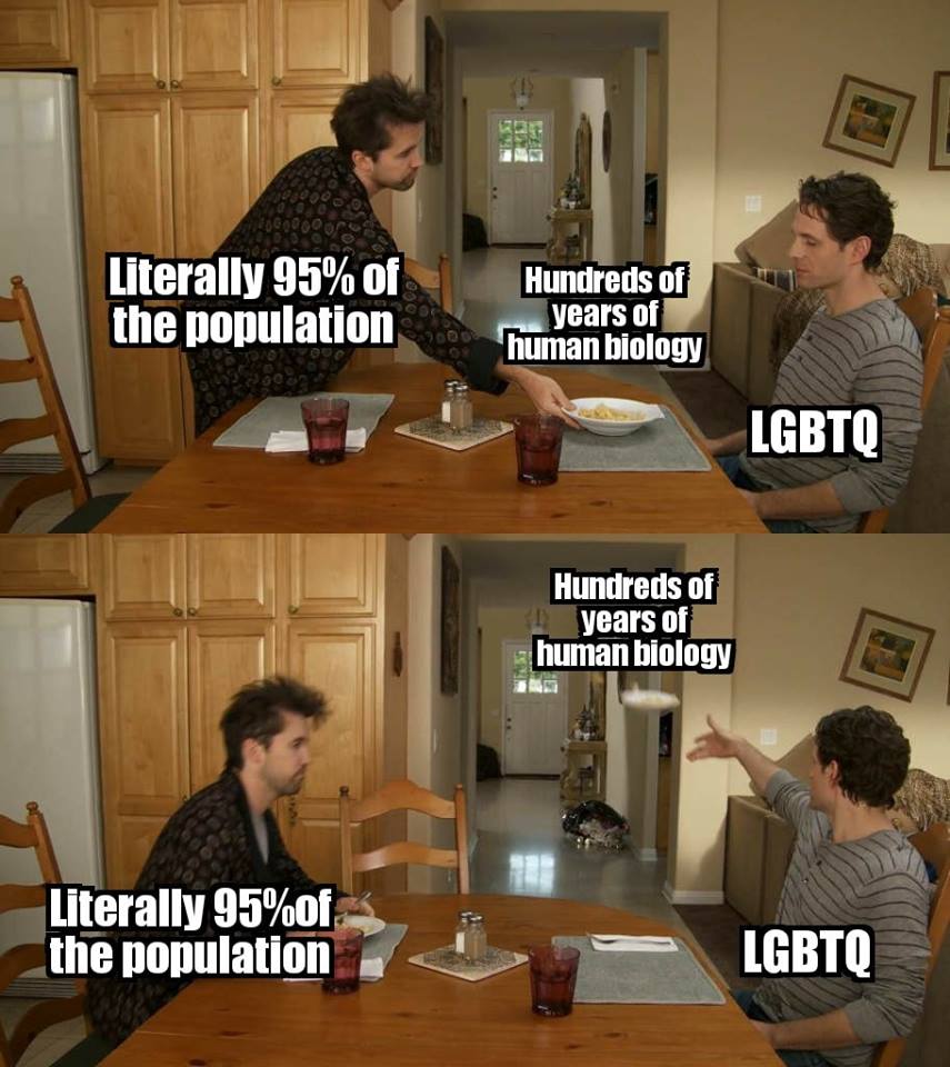 historical political memes - Literally 95% of the population Hundreds of years of human biology Lgbtq Hundreds of years of human biology Literally 95%of the population Lgbtq