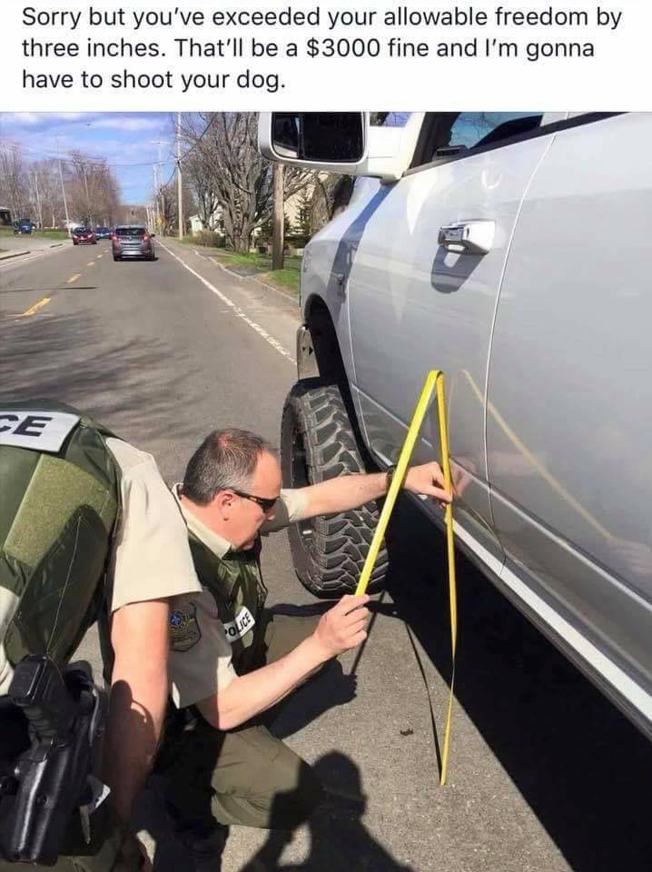 Car - Sorry but you've exceeded your allowable freedom by three inches. That'll be a $3000 fine and I'm gonna have to shoot your dog. Pe Police
