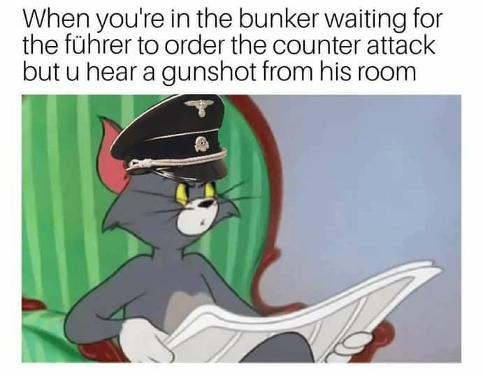 Savage meme you hear the toilet flush - When you're in the bunker waiting for the fhrer to order the counter attack but u hear a gunshot from his room