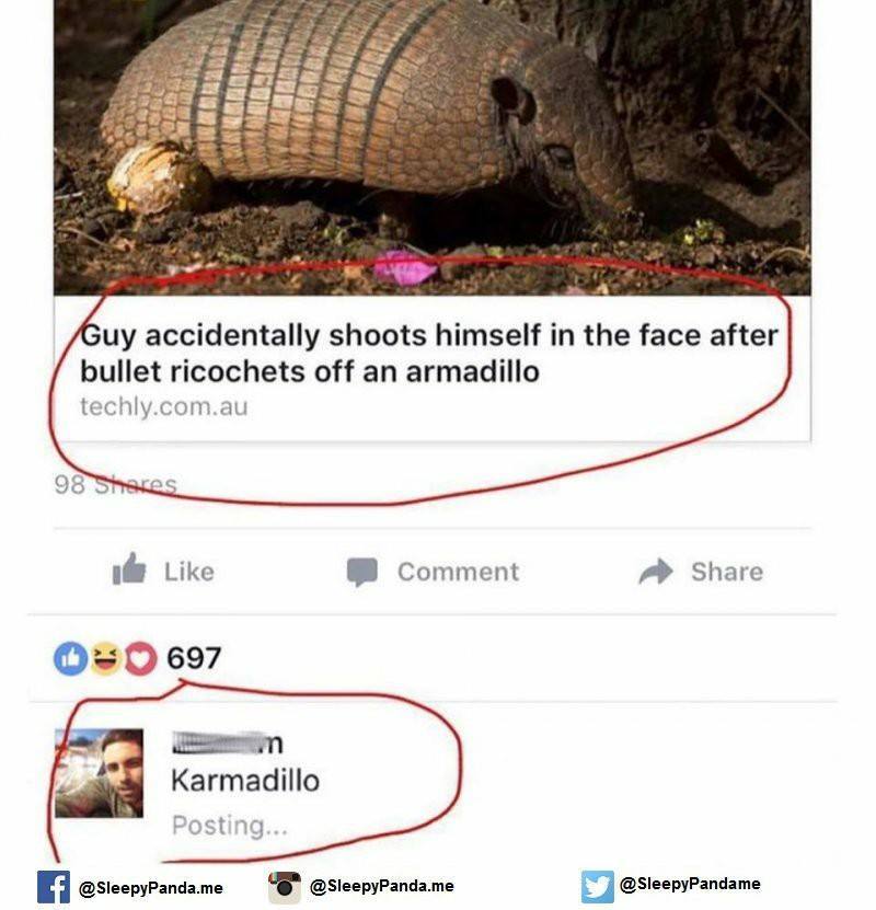 Savage meme armadillo funny - Guy accidentally shoots himself in the face after bullet ricochets off an armadillo techly.com.au 98 I Comment 040697 Karmadillo Karmadillo Posting... f .me .me y