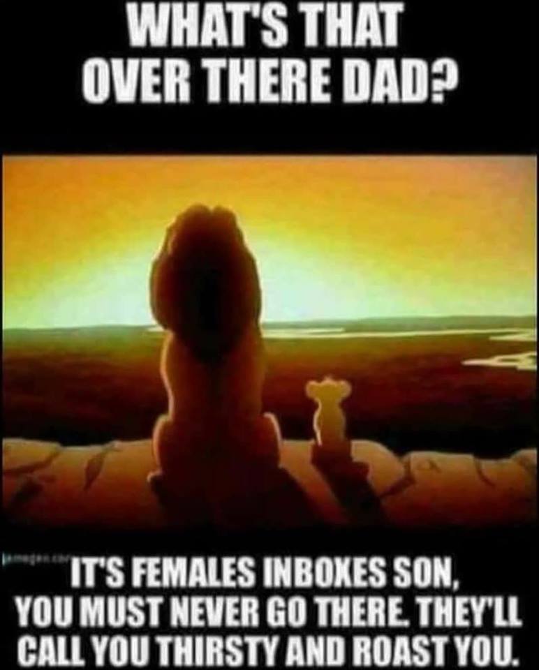 lion king - What'S That Over There Dad? It'S Females Inboxes Son. You Must Never Go There. They'Ll Call You Thirsty And Roast You.