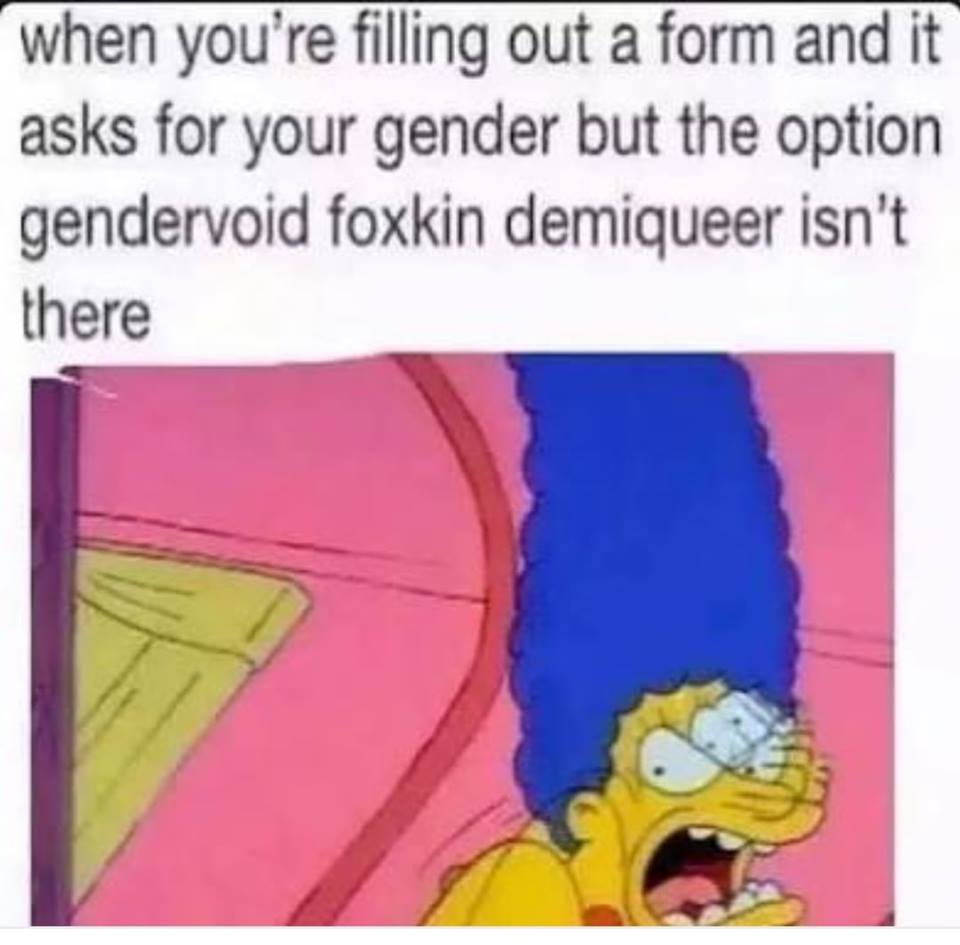 reddit dank memes - when you're filling out a form and it asks for your gender but the option gendervoid foxkin demiqueer isn't there