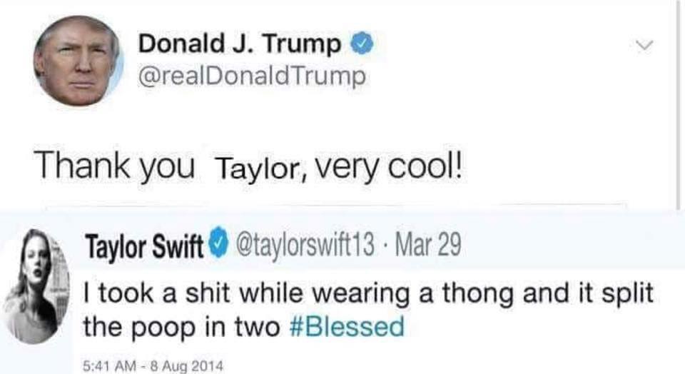 document - Donald J. Trump Trump Thank you Taylor, very cool! Taylor Swift Mar 29 I took a shit while wearing a thong and it split the poop in two
