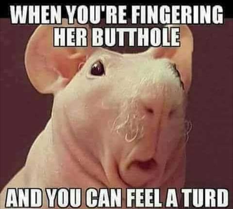 tuesday meme of tuesday memes - When You'Re Fingering Her Butthole And You Can Feel A Turd