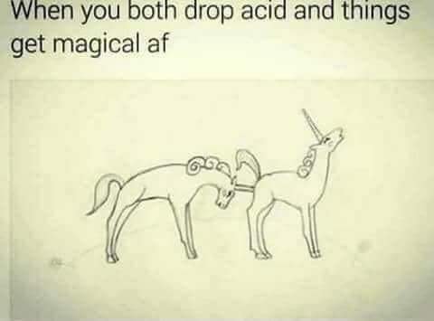 tuesday meme of memes to send in group chats - When you both drop acid and things get magical af