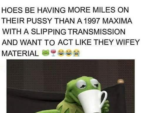 tuesday meme of animal - Hoes Be Having More Miles On Their Pussy Than A 1997 Maxima With A Slipping Transmission And Want To Act They Wifey Materials
