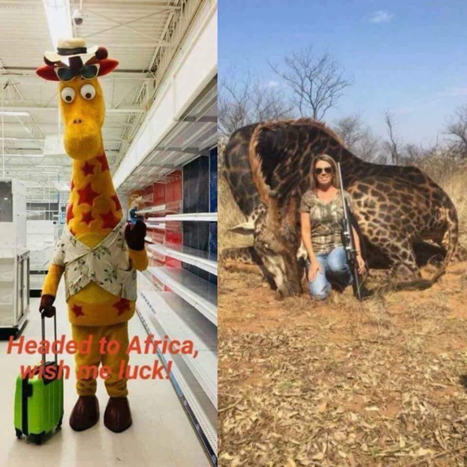 Savage meme - geoffrey toys r us - Headed to Africa, wish no luck