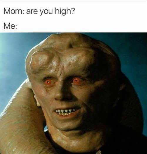 bib fortuna - Mom are you high? Me