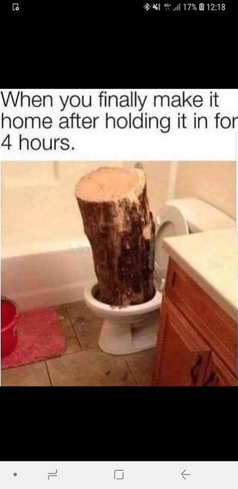 log memes - 417% @ When you finally make it home after holding it in for 4 hours.