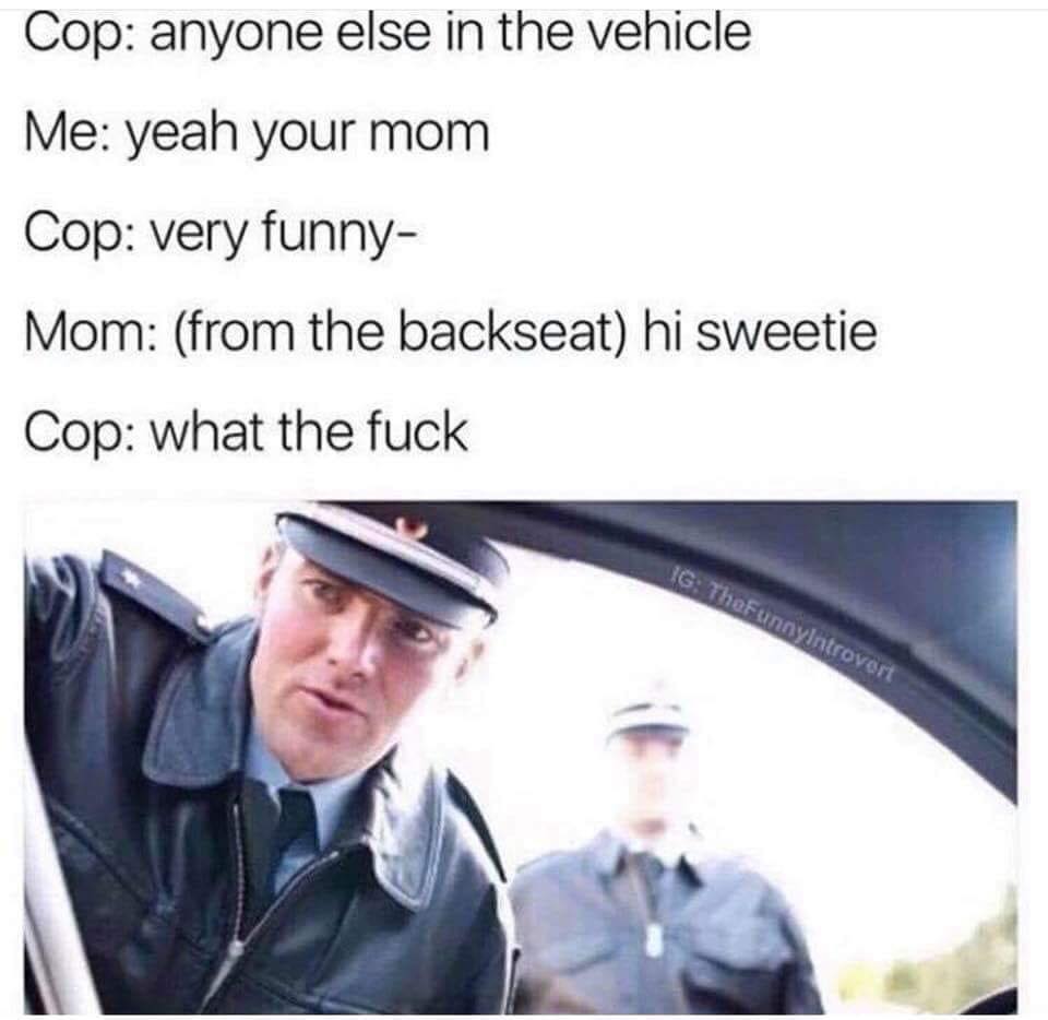 meme - cop anyone else in the vehicle - Cop anyone else in the vehicle Me yeah your mom Cop very funny Mom from the backseat hi sweetie Cop what the fuck Ig TheFunnylntrovert