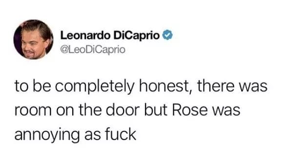 meme - Leonardo DiCaprio DiCaprio to be completely honest, there was room on the door but Rose was annoying as fuck