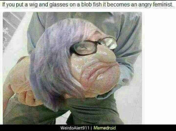 monday memes - blob fish - If you put a wig and glasses on a blob fish it becomes an angry feminist. WeirdoAlert911 Memedroid