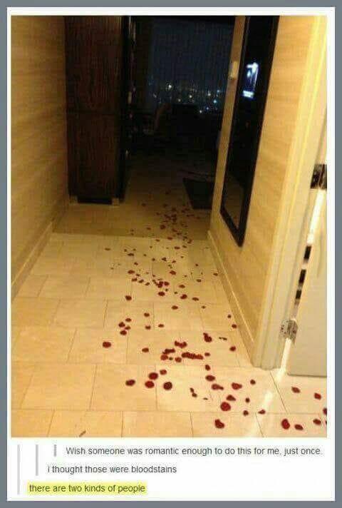 monday memes - there are two types of people - I Wish someone was romantic enough to do this for me, just once I thought those were bloodstains there are two kinds of people