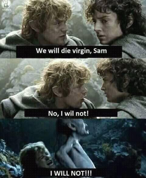 monday memes - lotr memes - We will die virgin, Sam No, I wil not! I Will Not!!!