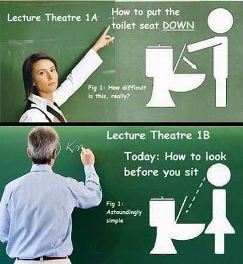 monday memes - put the toilet seat down - Lecture Theatre 1A How to put the toilet seat Down Fig 1 How difficult is this, really? Lecture Theatre 1B Today How to look before you sit Fig 1 Astoundingly simple