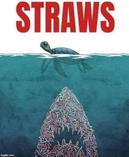 memes - straw save the turtles - Straws imatsp.com