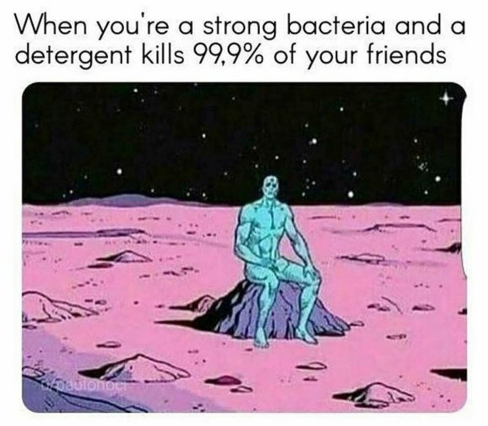 memes - you re a strong bacteria - When you're a strong bacteria and a detergent kills 99,9% of your friends avionom