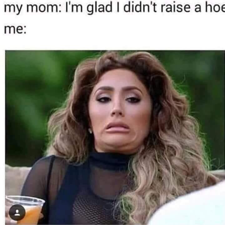 memes - hoe memes - my mom I'm glad I didn't raise a hoe me